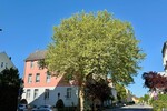 HORN IMMOBILIEN ++ Neubrandenburg, schöne 4-Raum ETW im EG mit Balkon, 2 Parkplätze -bezugsfrei- - Erdgeschoßwohnung Neubrandenburg | Angebot:26085784