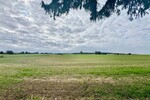 HORN IMMOBILIEN ++ traumhaftes Grundstück und tolles Haus mit vielen Extras bei Möllenhagen - Doppelhaushälfte Möllenhagen | Angebot:27463311