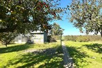 HORN IMMOBILIEN ++ charmantes Reetdachhaus mit Nebengebäude und schönem Grundstück - Einfamilienhaus Spantekow / Rebelow Rebelow | Angebot:26534305
