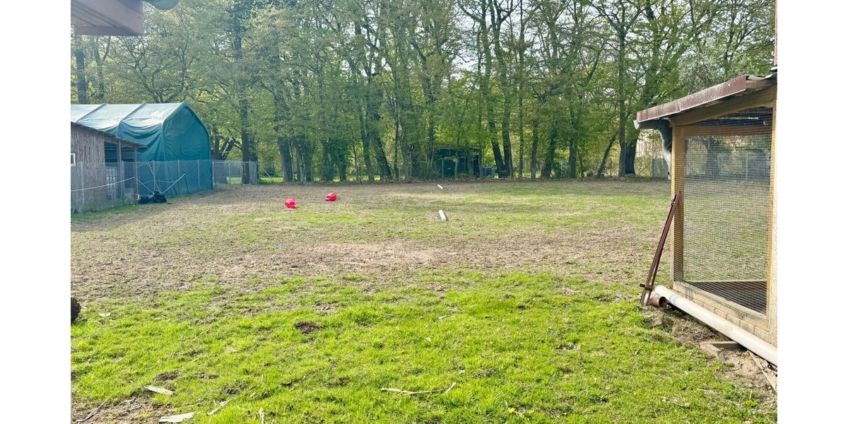 das Grundstück