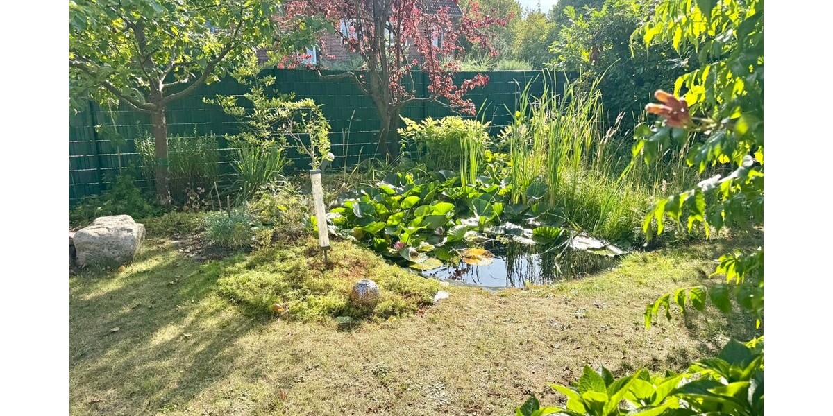 Grundstück mit Teich