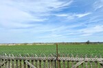 HORN IMMOBILIEN ++ Alleinlage gesucht? Einfamilienhaus, voll unterkellert in Gehren bei Strasburg - Einfamilienhaus Strasburg / Gehren Gehren | Angebot:27083659