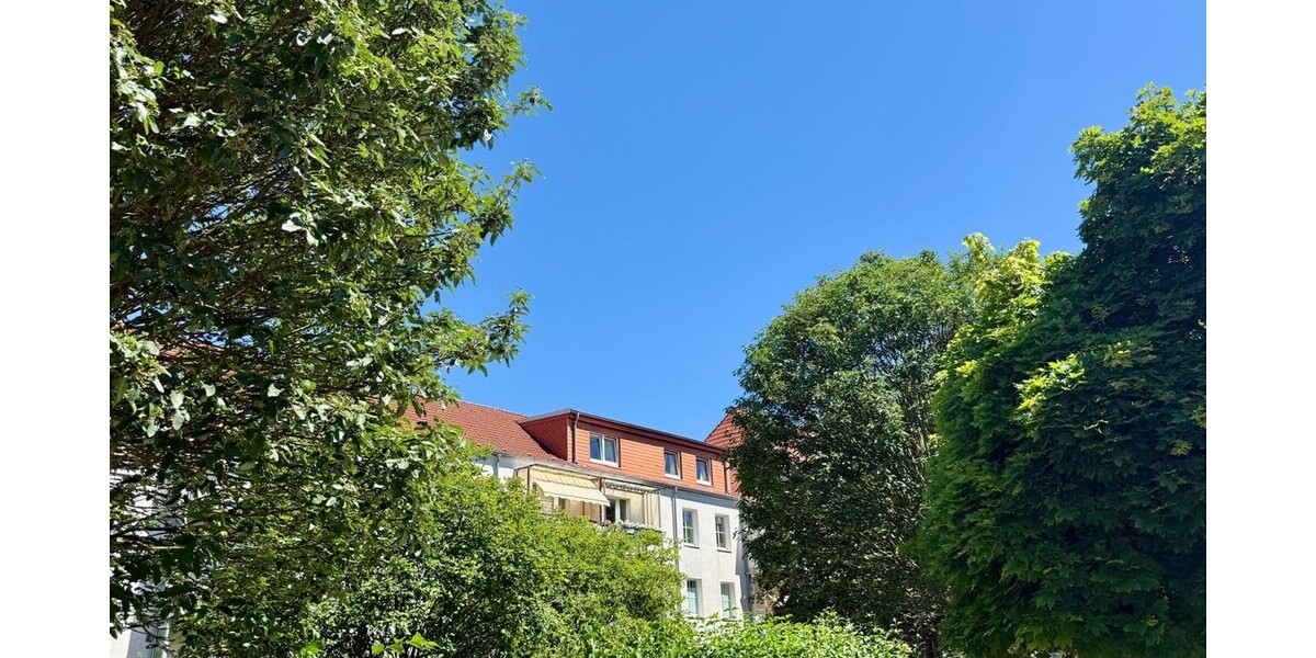Rückseite